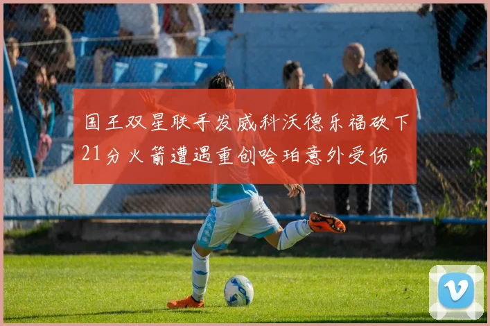 国王双星联手发威科沃德乐福砍下21分火箭遭遇重创哈珀意外受伤