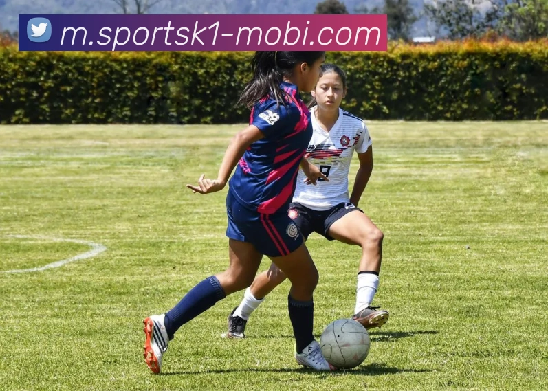 App Interface Preview